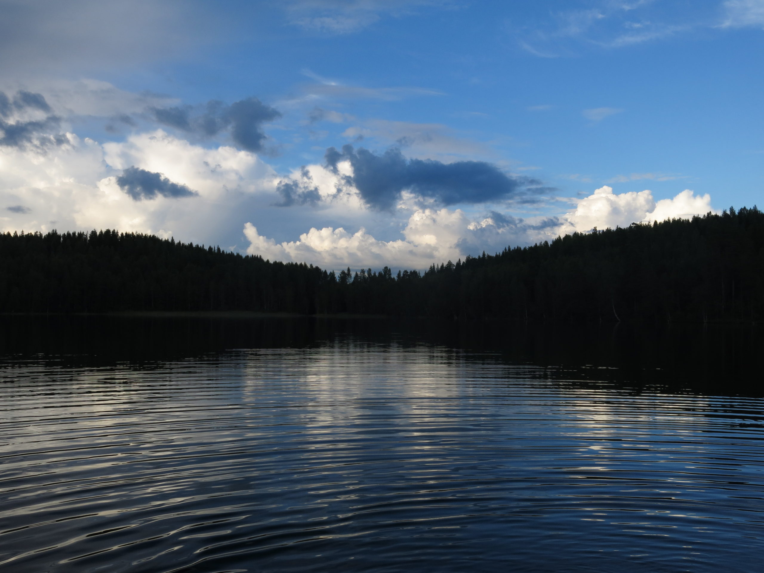 Back to the Roots - Neljä tuulta